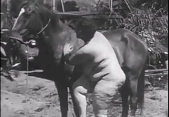 Sex toy helps young blacknwhite porn women and fat to orgasm