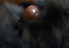 Babe being best black pornstars doggystyled