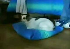 Brown-haired sweet is tori black blacked sitting in a big dick and jump on it to orgasm